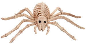 spider-skeleton-costume-44.png