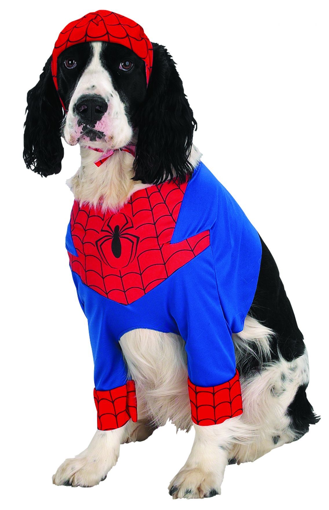 spiderman-dog-medium-50.png