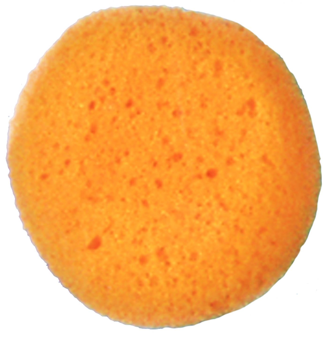 sponge-cosmetic-50.png