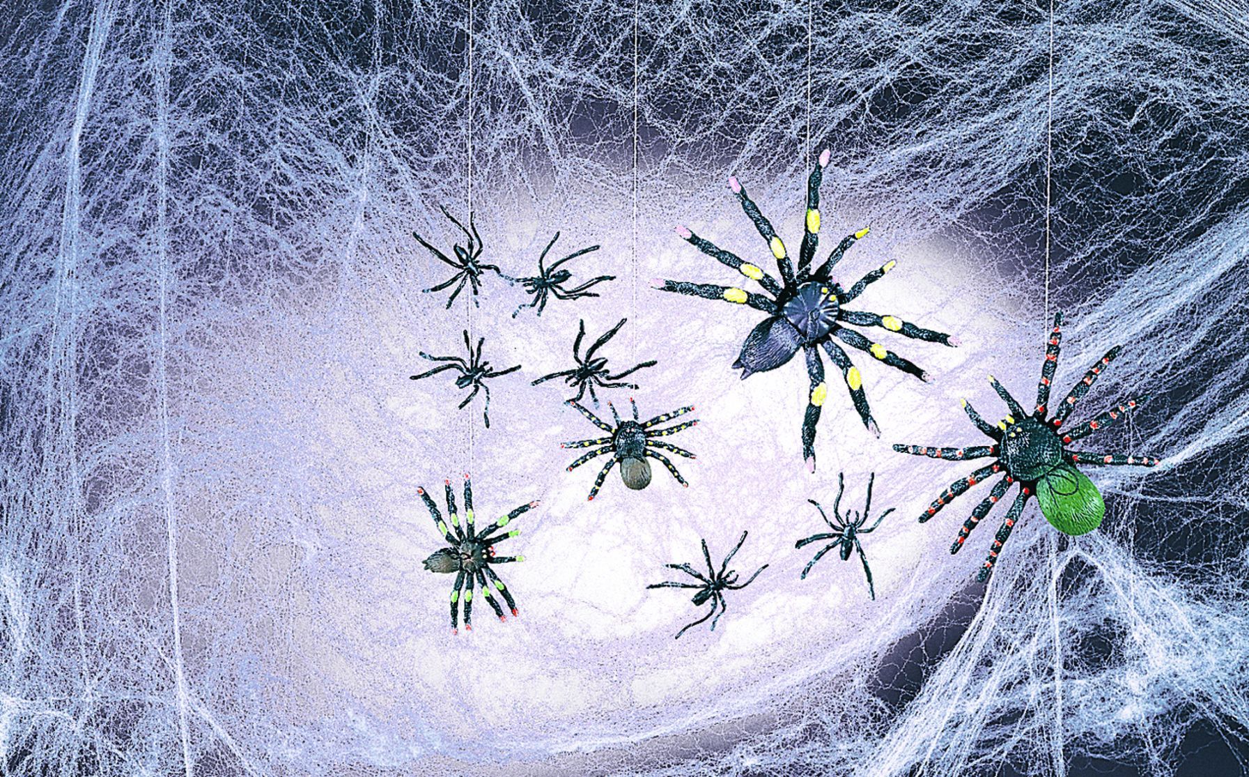 spooky-spiders-and-webs-52.png