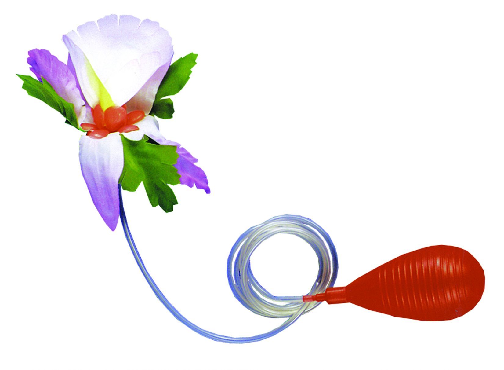 squirt-flower-lapel-52.png