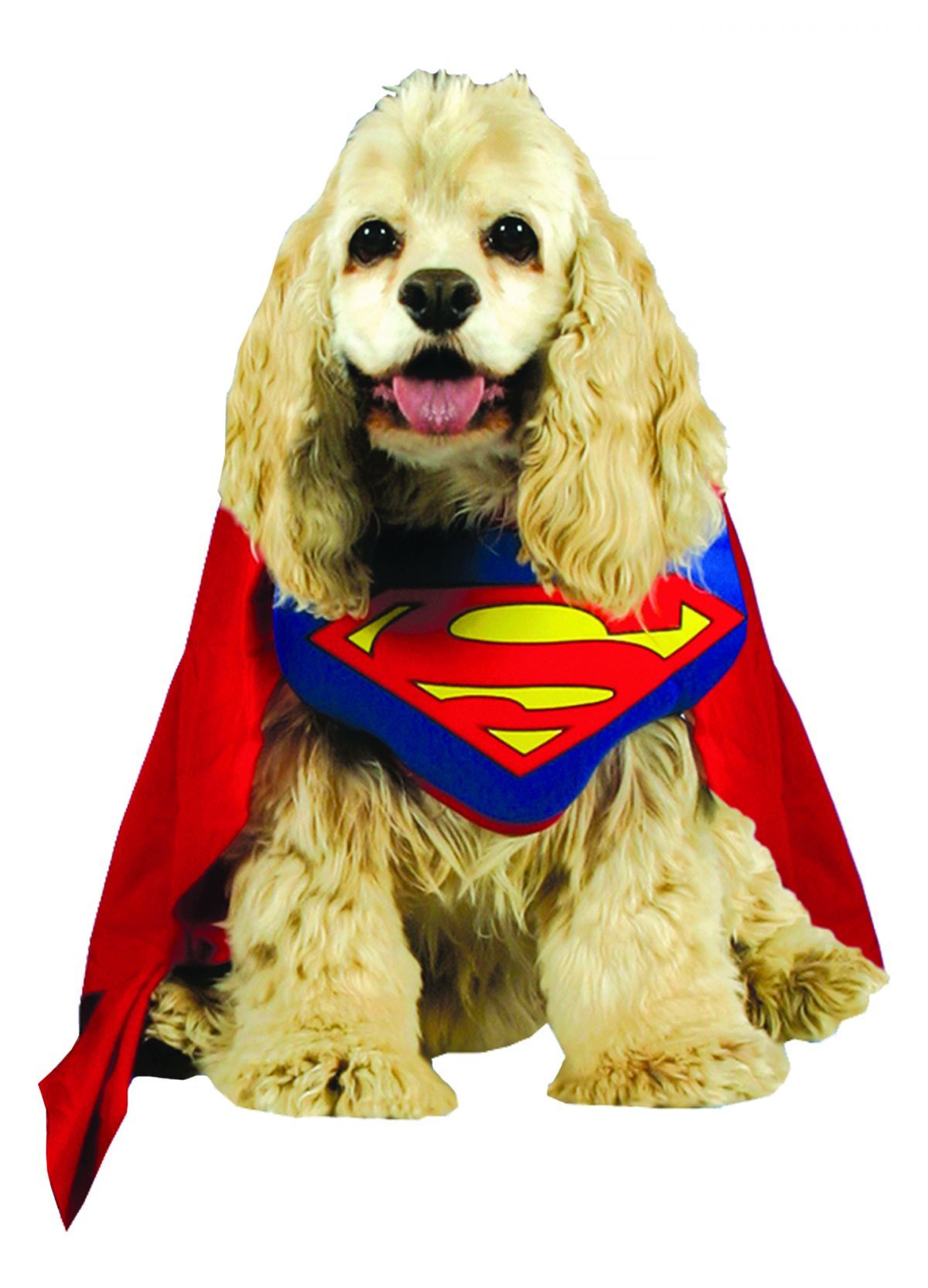 superman-pet-costume-large-52.png