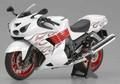 tamiya-14112-1-12-kawasaki-ninja-zx14-special-color-edition-33.jpg