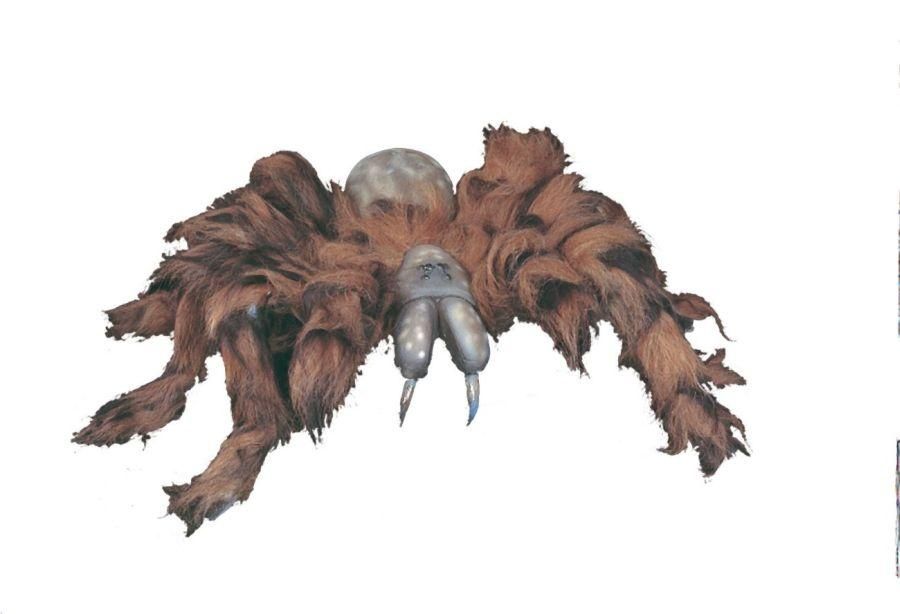 tarantula-35.png