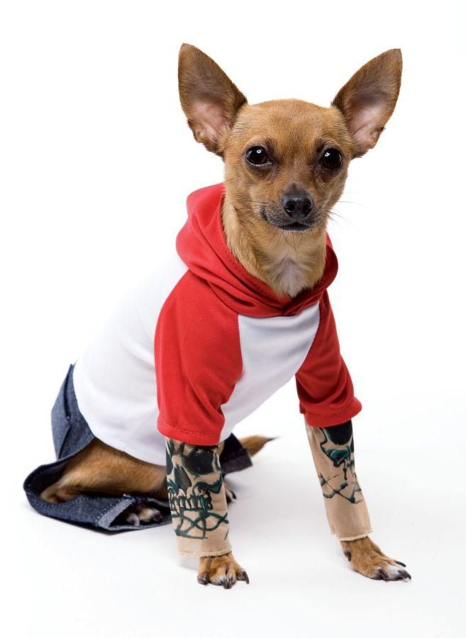 tattoo-dog-dog-costume-small-35.png