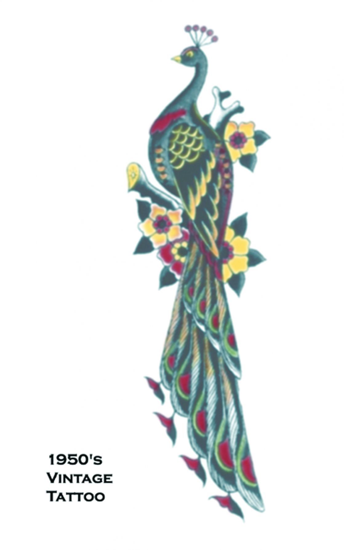 tattoo-vintage-peacock-50.png