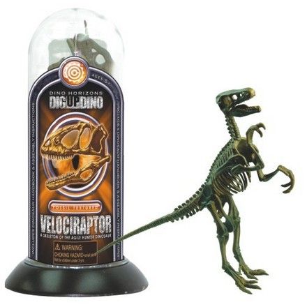 test-tube-dino-skeletons-velociraptor-57.png