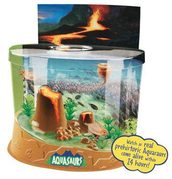 uncle-milton-grow-aquasaurs-prehistoric-habitat-54.png