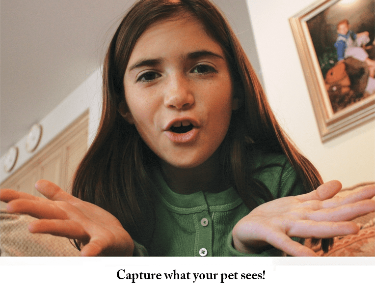 uncle-milton-pet-s-eye-view-camera-w-video-fpv-83.png