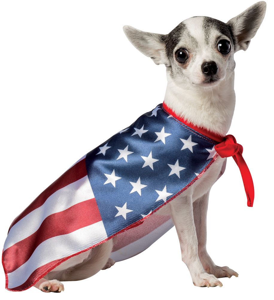 usa-dog-flag-cape-large-costume-42.png