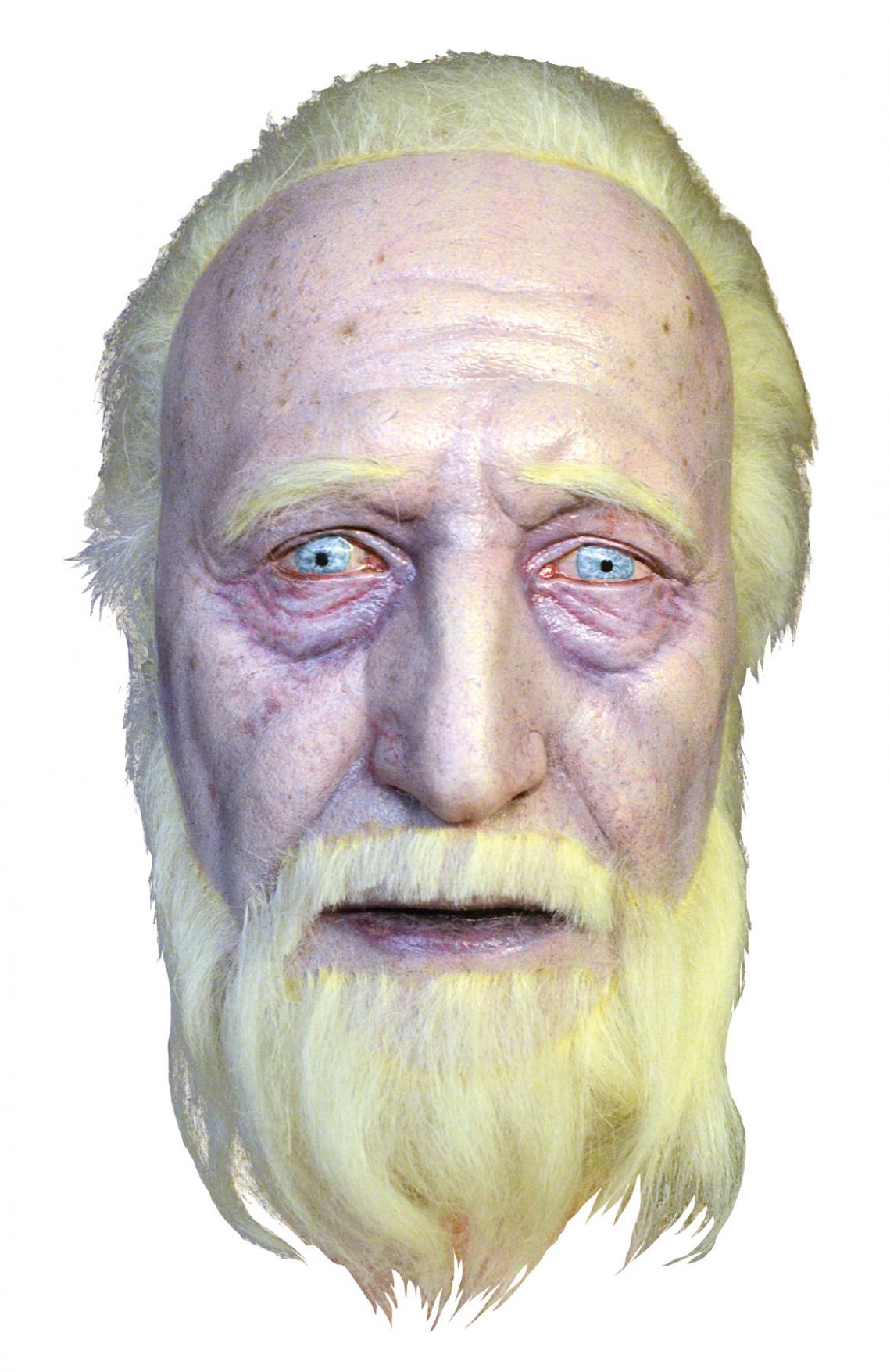 wd-hersal-severed-head-prop-costume-30.png