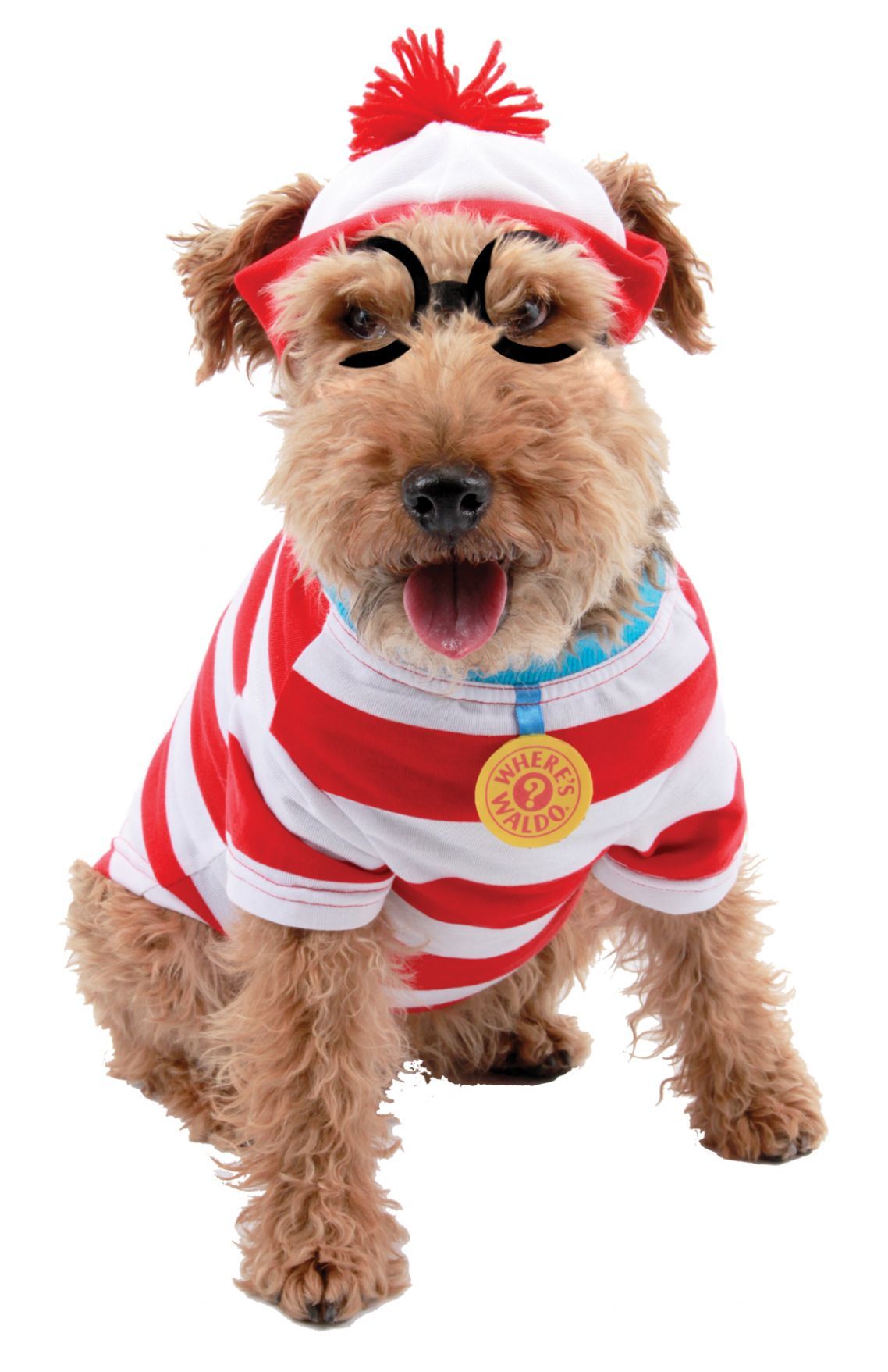 where-s-waldo-woof-dog-kit-lg-50.png