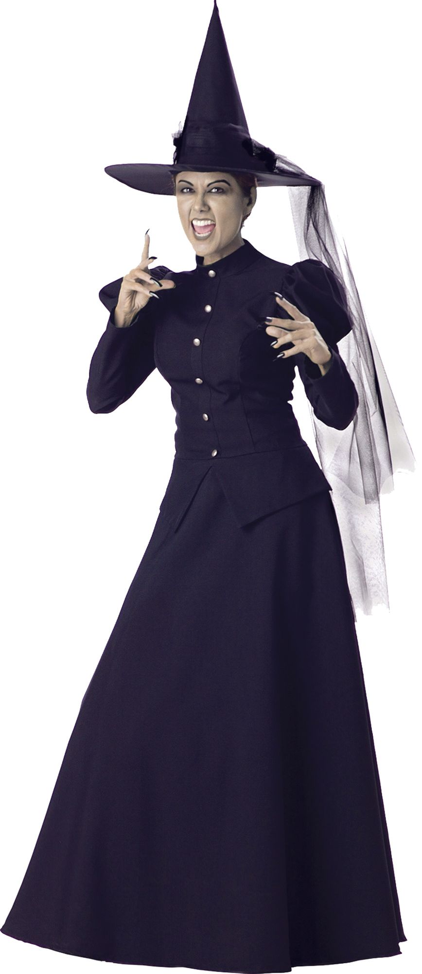 wicked-witch-adult-large-44.png