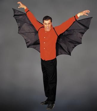 wings-adult-bat-33.png