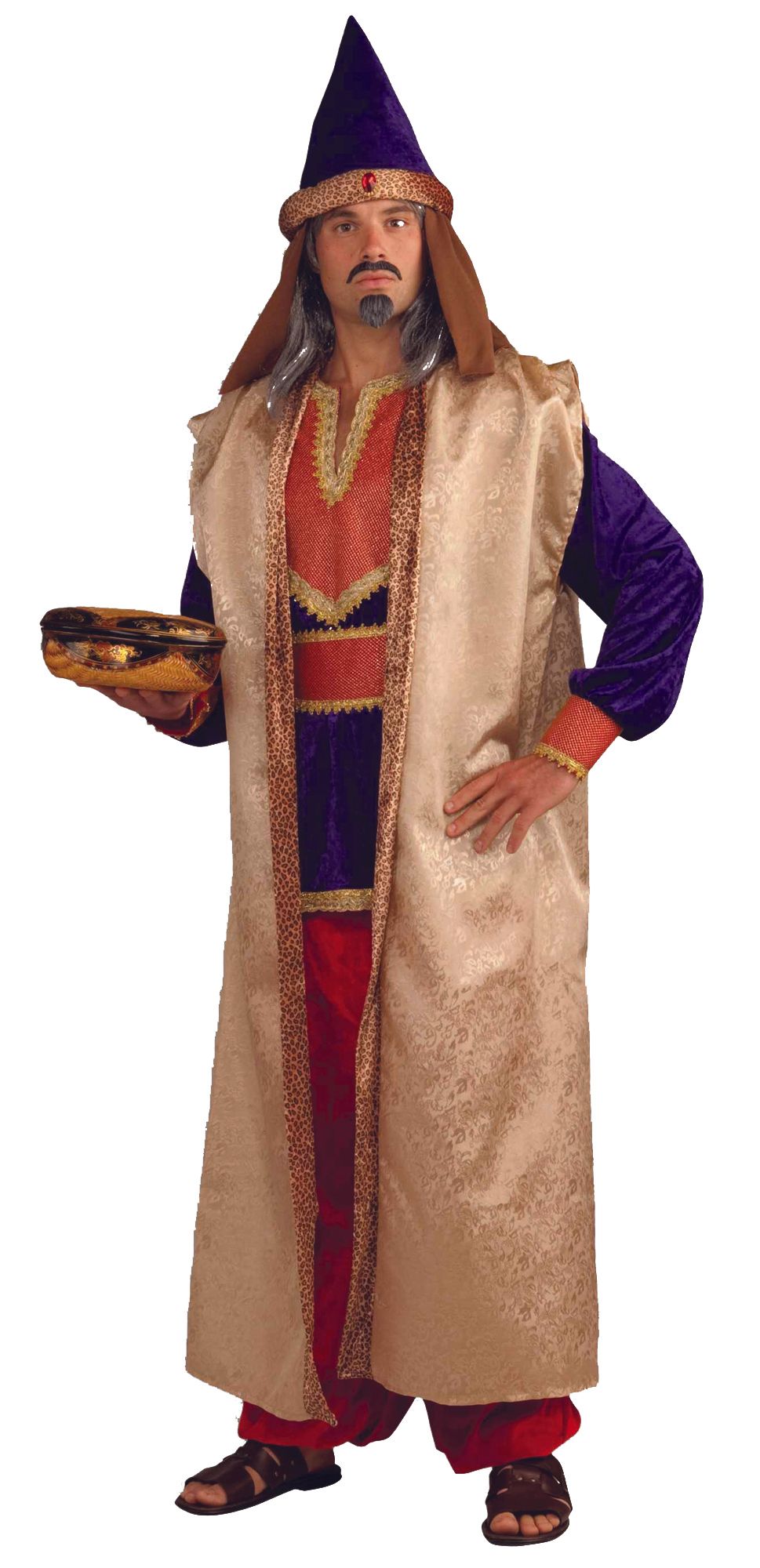 wiseman-standard-costume-20.png