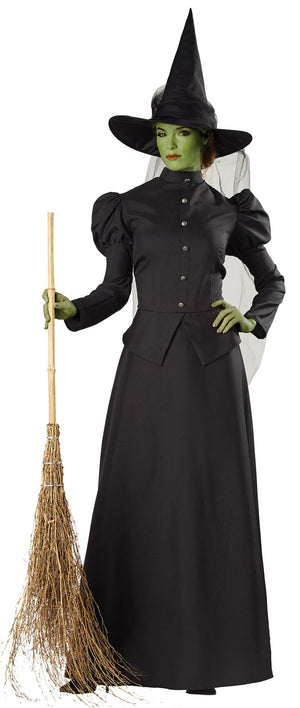 witch-classic-deluxe-adult-med-costume-18.png