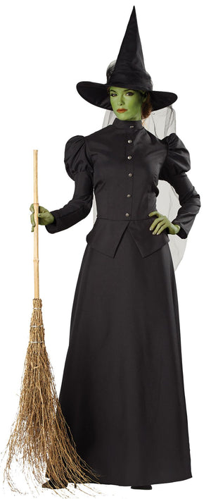 witch-classic-deluxe-adult-sm-costume-18.png