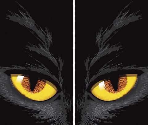 Yellow Eyed Cat Window Poster Costume