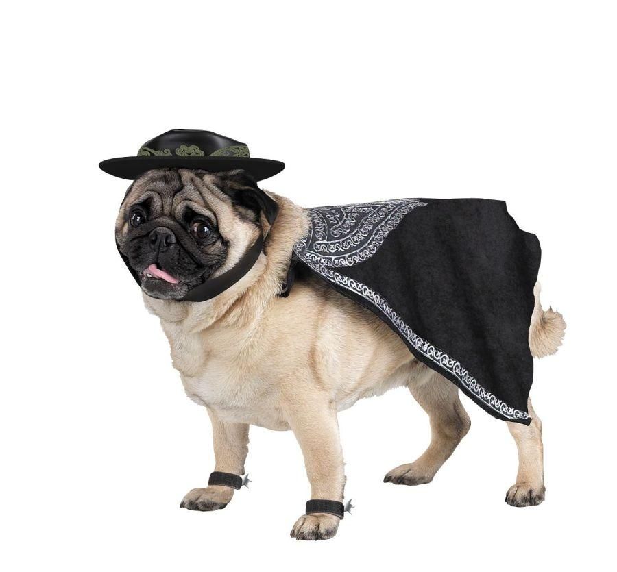 zorro-pet-costume-sz-lg-35.png